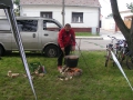 Guláš - 2010